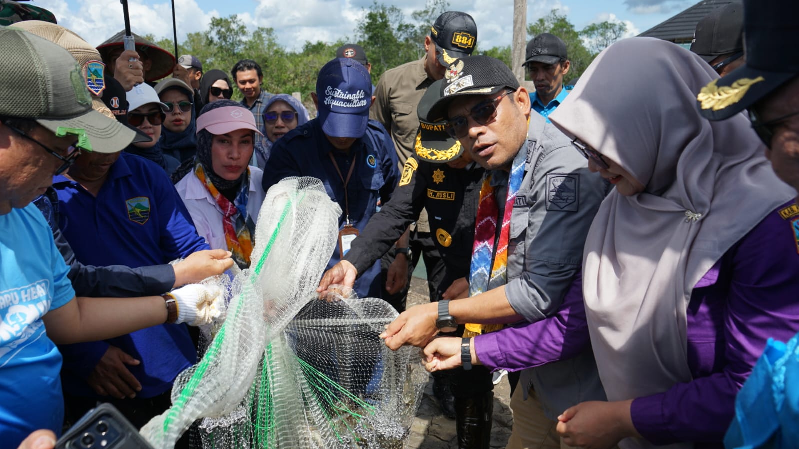 Panen Udang Vaname Perdana Jadi Tonggak Baru Perikanan Budidaya Kotabaru