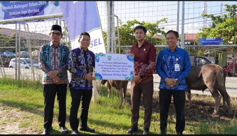 Pemkab Balangan Salurkan 24 Sapi Kurban Bantuan CSR Bank Kalsel Jelang Iduladha 1447 H