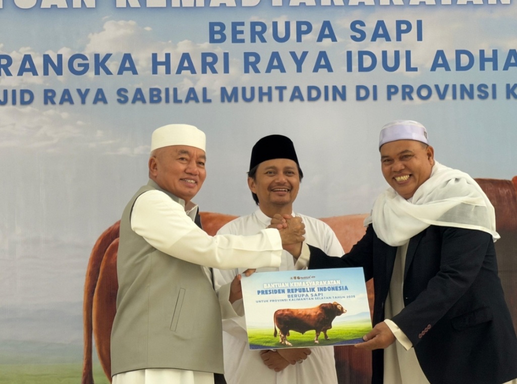 Gubernur Kalsel Serahkan Sapi Kurban Bantuan Presiden ke Masjid Raya Sabilal Muhtadin